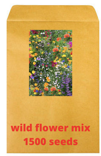 Wild flower meadow - seeds,
