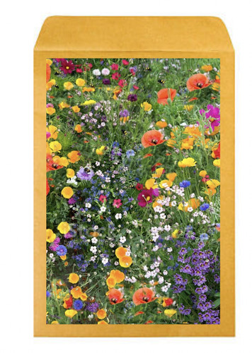 2000 seeds wild flower - seeds,