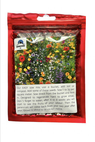 Wild flower meadow - wild,