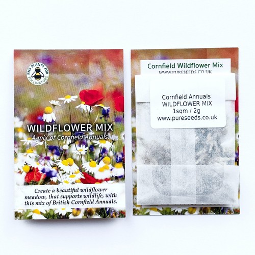 Wildflower seeds wild flowers - wildflower,