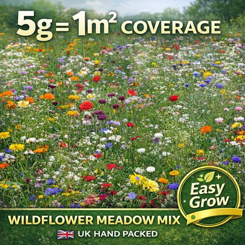 Wildflower meadow mix - meadow, seeds