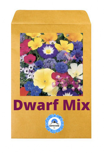Wild flower meadow - wild,