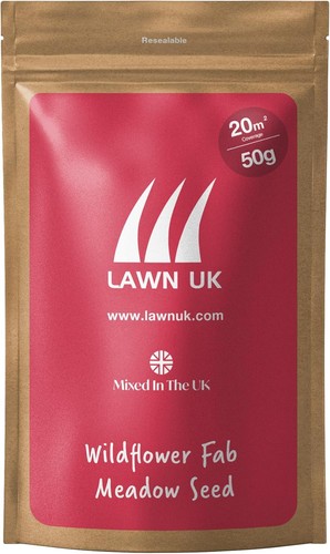 Wildflower fab meadow seed - meadow,