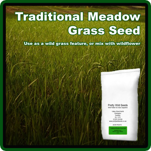Traditional meadow grass seed - meadow,