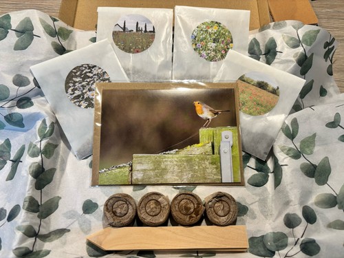 Eco friendly wildflower - eco,