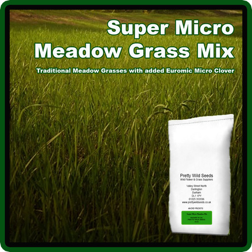 Super micro meadow grass seed - super,
