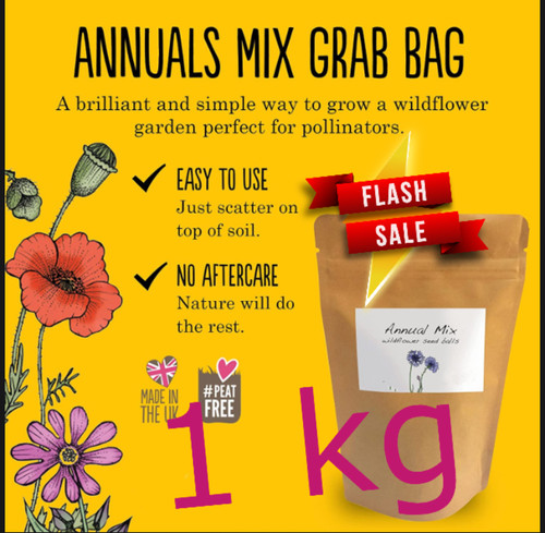 Wild flower meadow seeds - meadow,